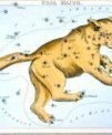 Autor: IAU#1603 - Historická mapa Velké medvědice -  Ursa Major.  Hvězda na konci ocasu medvědice(Benetnaš) se nyní oficiálně jmenuje Alkaid.