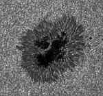 Sluneení skvrna, pozorovaná 14. 6. 1999 na puvodním 50centimetrovém švédském sluneením dalekohledu, La Palma. Na snímku vidíme sluneení granulaci, vláknitou strukturu penumbry a jasné body v umbe. Nejmenší objekty mají prumir asi 200 km.