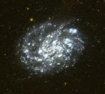 NGC300-galex.jpg