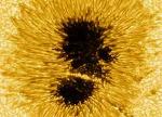 sunspot.jpg