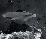 B-15A_Iceberg_Date20051106.jpg