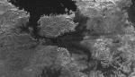 Jezera a ostrovy na povrchu měsíce Titan - radarový snímek.
