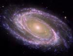 Obrázek galaxie M 81, složený ze snímků kosmických observatoří Spitzer, HST a Galex.