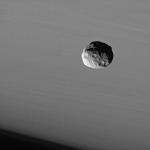 Měsíc Janus, zdroj: APOD (http://antwrp.gsfc.nasa.gov/apod/)