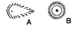 > Obr. 5: ohybové kroužky rozostřeného obrazu hvězdy při vycentrovaném (A) a nevycentrovaném (B) objektivu dalekohledu