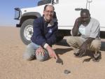 Nález jednoho z meteoritů v Súdánu. Autor: P. Jenniskens, SETI Institute