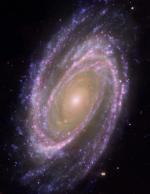 Snímek galaxie M81 z HST