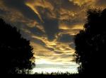 Asperatus nad Novým Zélandem