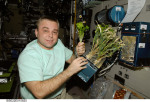 Surajev na palubě ISS