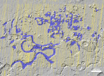 Zakreslená naleziště podpovrchového ledu v oblasti Deuteronilus Mensae na planetě Mars