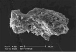 Kometární prach, nalezený v Antarktidě