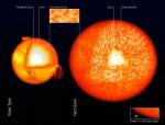 Porovnání vnitřní stavby Slunce a červeného obra. Autor: ESO