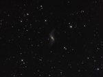 CAM 2010.11: Galaxie NGC 660 (Martin Zelenka) (icon)