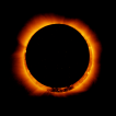 Hinode: Prstencové zatmění Slunce 4. 1. 2011, zdroj: JAXA