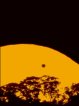 Přechod Venuše 8. června 2004. Autor: Ralf Stoeckeler