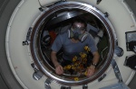 Kosmonaut Oleg Kononěnko poprvé v ATV, pro jistotu v plynové masce. Autor: ESA