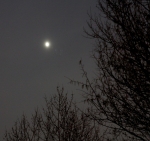 Venuše se loučí s Plejádami. Autor: Antonín Hušek