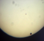 Přechod Venuše přes Slunce 6. 6. 2012. Autor: Matěj Petržílka