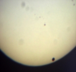 Přechod Venuše přes Slunce 6. 6. 2012. Autor: Matěj Petržílka