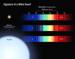 Porovnání spekter bílých trpaslíků a dalších hvězd