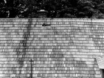 Střecha domu č.p. 147 v Suchém Dole proražena meteoritem Police. Autor: Archiv Hvězdárny v Úpici