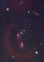 Jasná Orionida v souhvězdí Orionu v roce 2008. Autor: Jens Hackmann.