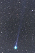 Kometa Lemmon 12. února 2013. Autor: Minoru Yoneto.