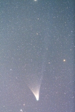 Kometa PanSTARRS 12. února 2013. Autor: Minoru Yoneto.