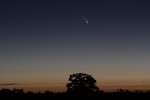 Kometa PanSTARRS. Foto: Jim Gifford.