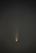 Kometa PanSTARRS a její ohon 7. března 2013. Autor: Ray Pickard.