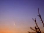 PanSTARS na soumračné obloze. Autor: Petr Šaloun