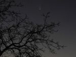 Kometa za stromem. Autor: Jaromír Ciesla