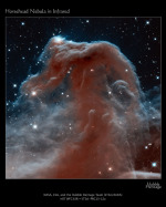 Mlhovina Koňská hlava na snímku z HST v oboru IR záření Autor: NASA/ESA