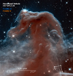 Mlhovina Koňská hlava na snímku z HST v oboru IR záření Autor: NASA/ESA
