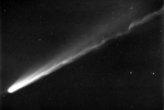 Kohoutkova kometa Autor: Palomar Observatory