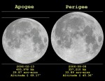 Porovnání úplňků v perigeu a apogeu v roce 2006. Autor: Anthony Ayiomamitis.