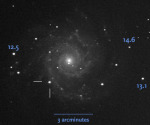 Supernova SN 2013EJ. Autor: Pete Lawrence.