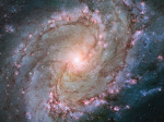 Spirální galaxie M 83 Autor: NASA, ESA, and the Hubble Heritage Team (STScI/AURA)
