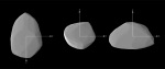 Tvar planetky Apophis rekonstruovaný z světelné křivky získané při pozorovací kampani organizované P. Pravcem z AsÚ.  Autor: Astronomický ústav AV ČR