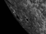 Sluneční skvrna v aktivní oblasti NOAA 12209. Autor: Martina Exnerová.