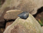 Detail meteoritu Vysočina na mohylce v místě nálezu Autor: Jan Kondziolka