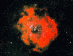 14.02.1996 - NGC 2237: Růžicová mlhovina