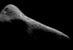 08.03.2000 - Povrch asteroidu Eros