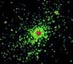 24.01.2001 - NGC 3603: Rentgenové paprsky z hvězdokupy s výrony mladých hvězd