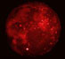 15.09.2001 - Zatmělý Měsíc infračerveně