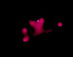 14.02.2003 - Srdce v NGC 346
