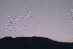 27.04.2004 - Východ komety Bradfield