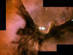 18.06.2004 - Mlhovina Trifid z pohledu Hubbla