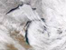 30.11.2004 - Efekt jezerního sněhu na Zemi