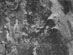 24.11.2004 - Radarový pohled na Titan